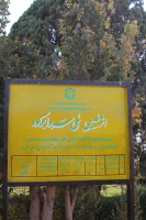 Iran 2013  www.samoilik.ru  